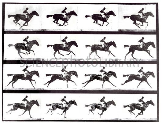 V8000048-High-speed_sequence_of_a_galloping_horse_and_rider-SPL.jpg